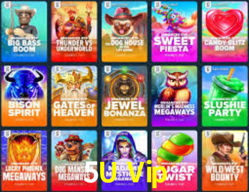 5U Vip App Interface