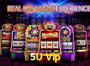 Responsive Design 5U Vip